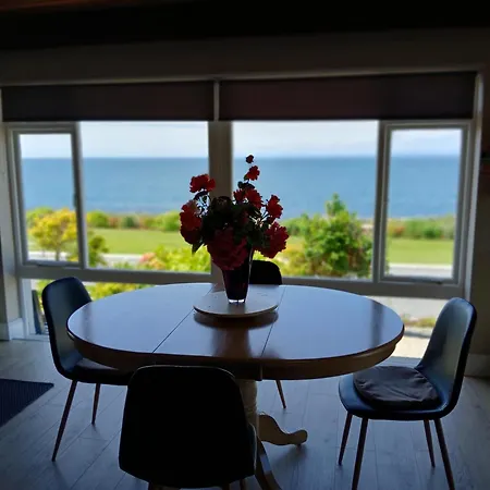 Dolphin Watch Villa Fanore Exterior photo