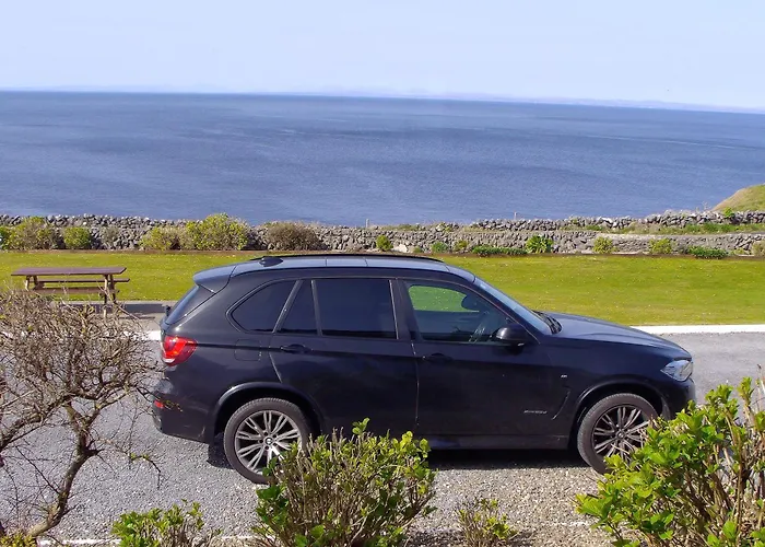 Dolphin Watch Wild Atlantic Way