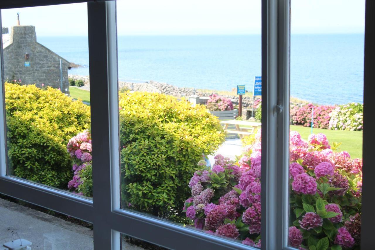 Dolphin Watch Wild Atlantic Way Holiday home Fanore