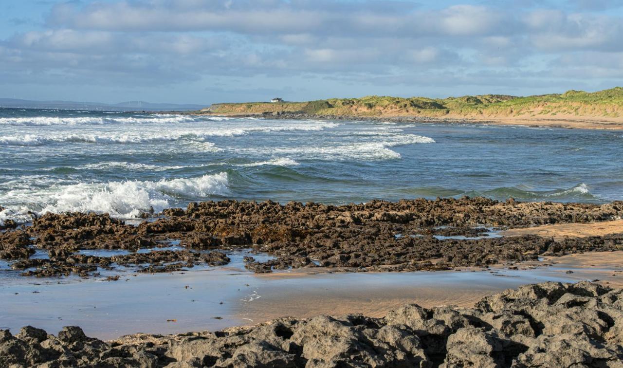 Dolphin Watch Wild Atlantic Way * Fanore