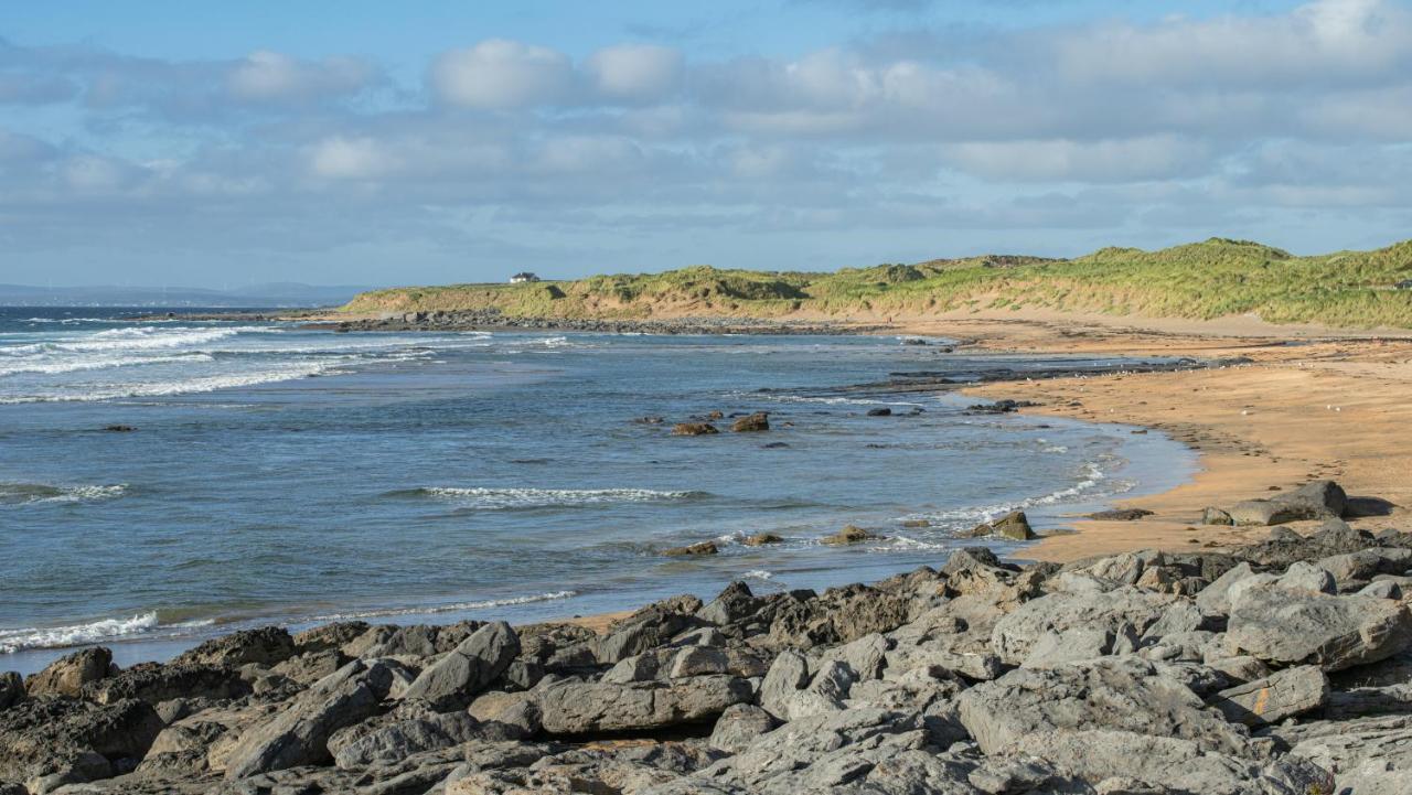 Dolphin Watch Wild Atlantic Way * Fanore