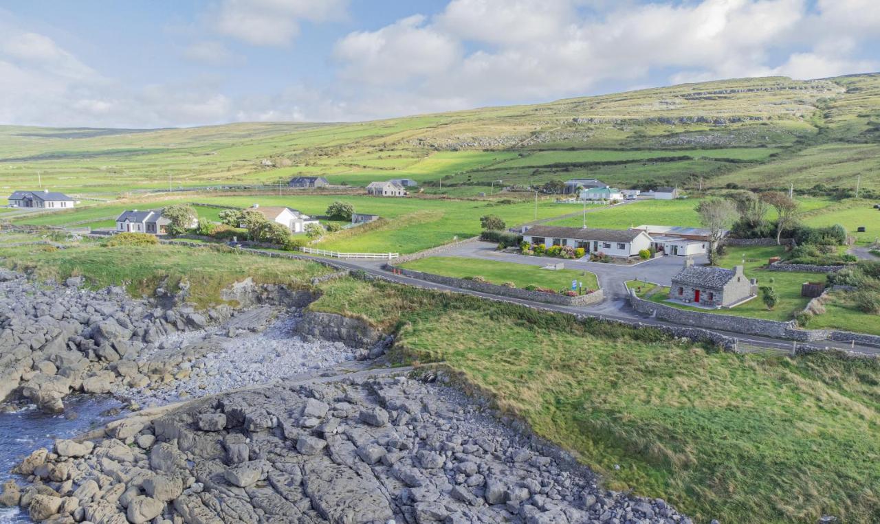 Dolphin Watch Wild Atlantic Way Holiday home