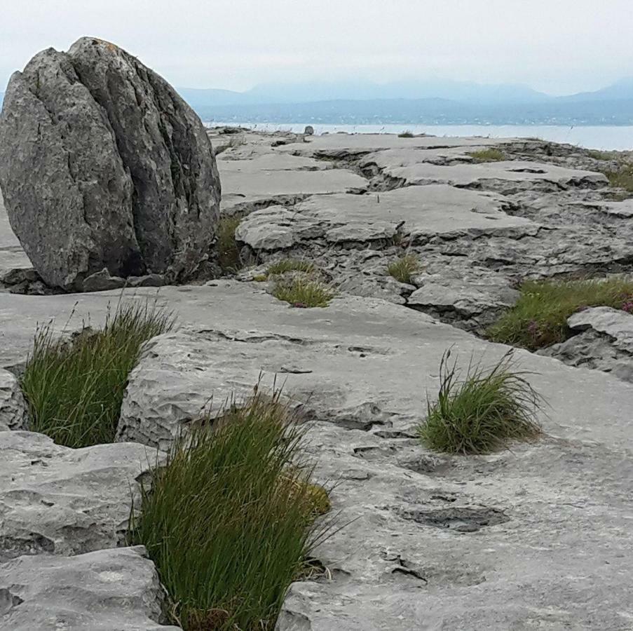Dolphin Watch Wild Atlantic Way Holiday home Fanore